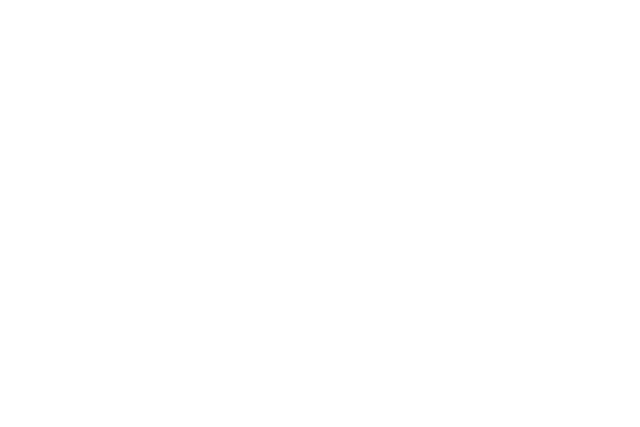 Serafim Dog Training